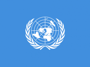 Les acteurs participant à la médiation politique à l’ONU